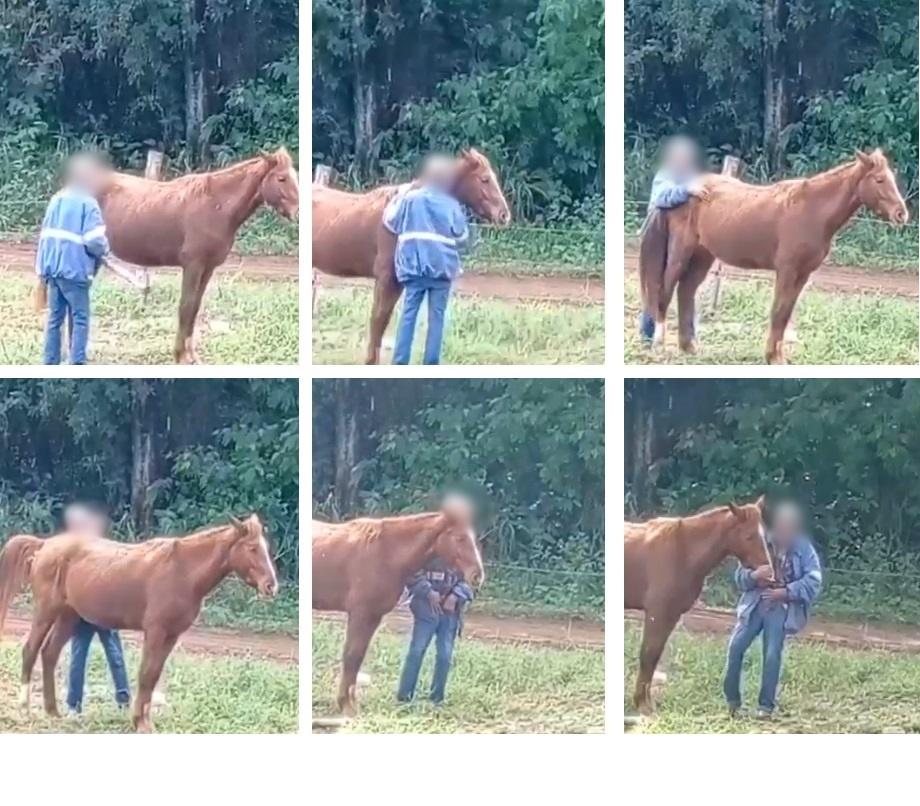 Homem é flagrado em cena de Zoofilia com égua na cidade de Barbosa Ferraz.