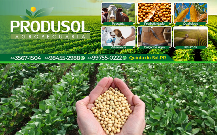 King Pizzaria & Choperia