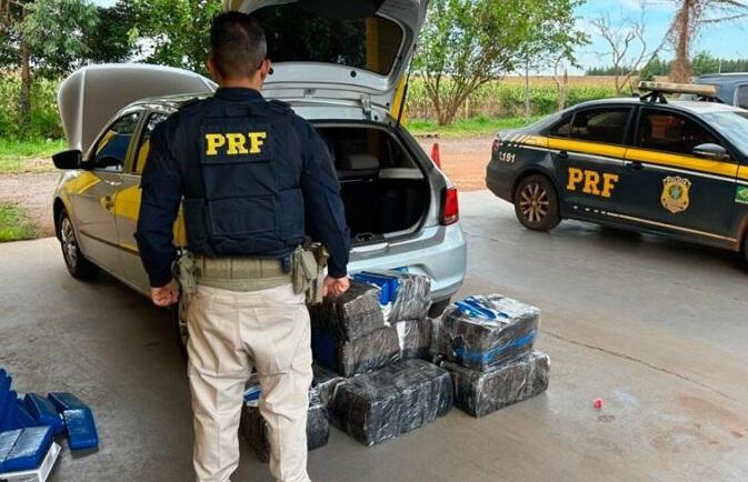 PRF apreende mais de 200 kg de maconha na BR-369, em Campo Mourão; homem é preso por tráfico