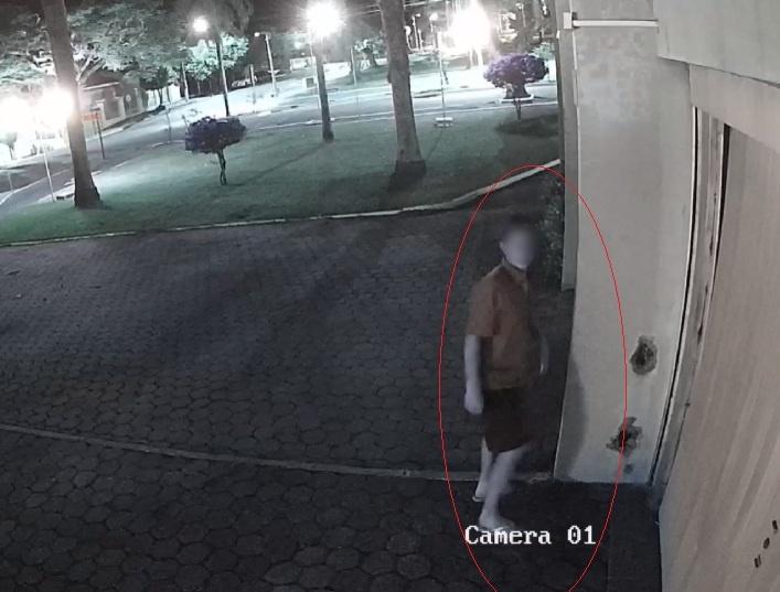 BARBOSA FERRAZ: Jovem é preso em flagrante por vandalismo no Paço Municipal
