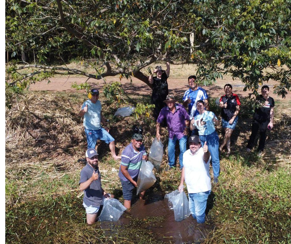 Prefeitura de Fênix realiza soltura de 2 mil alevinos e busca resgatar lago ao lado da PR-082, próximo a Ponte do Rio Corumbataí