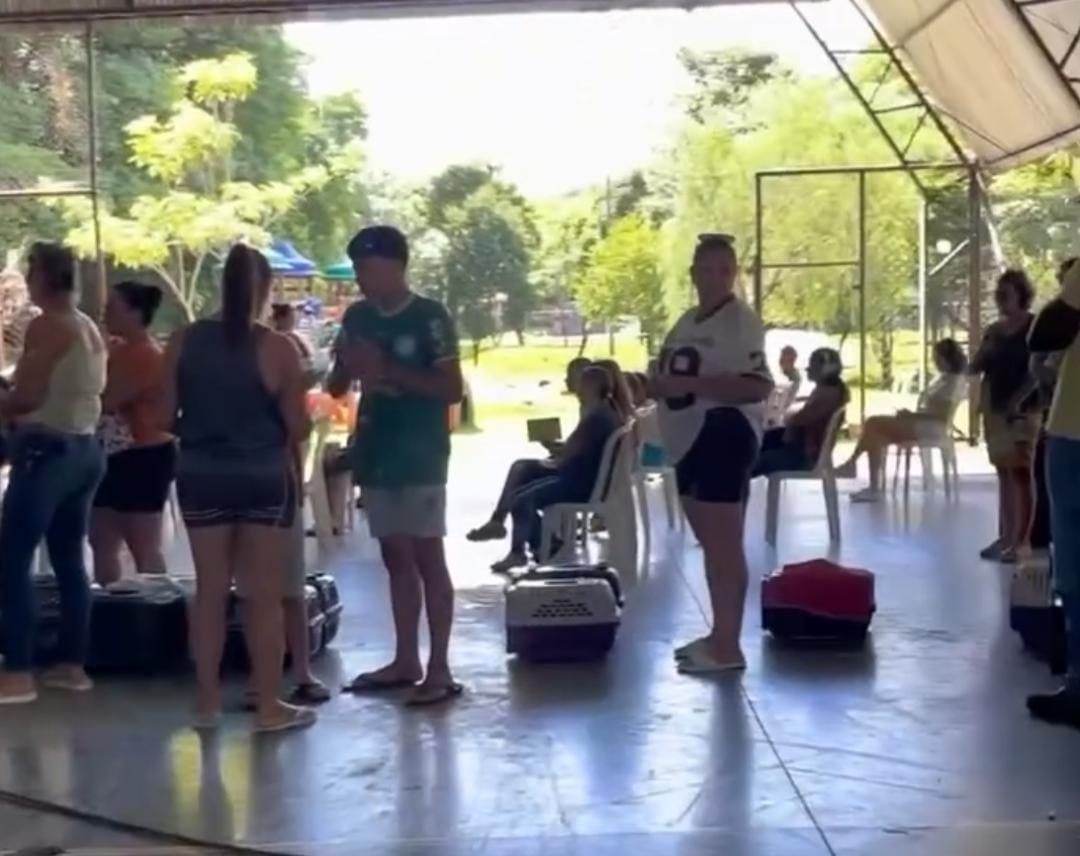 Barbosa Ferraz realizou CastraPet com 98 castrações em cães e gatos