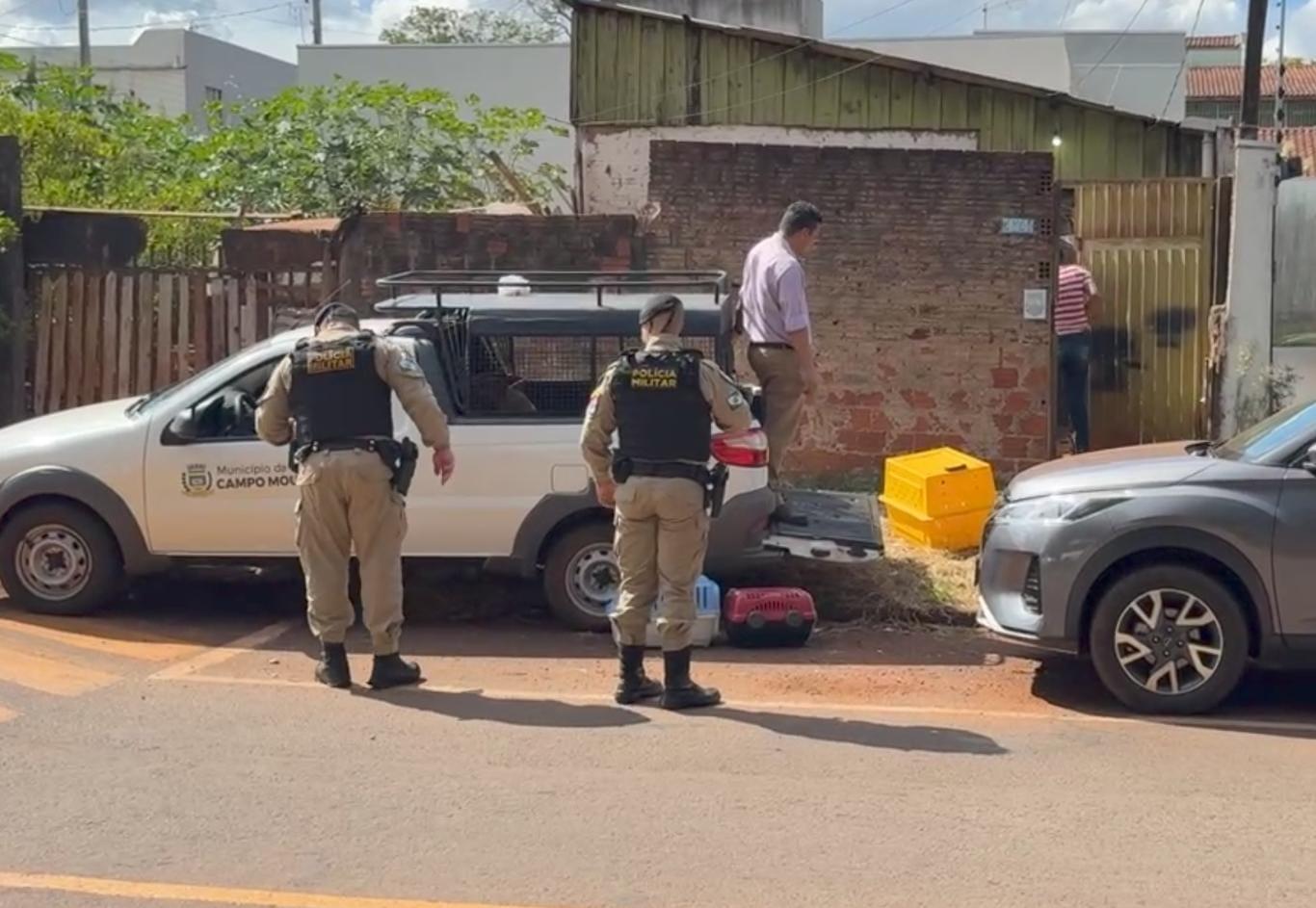CAMPO MOURÃO: PM atende denúncia de maus-tratos e encontra 10 cães desnutridos e um morto no Lar Paraná