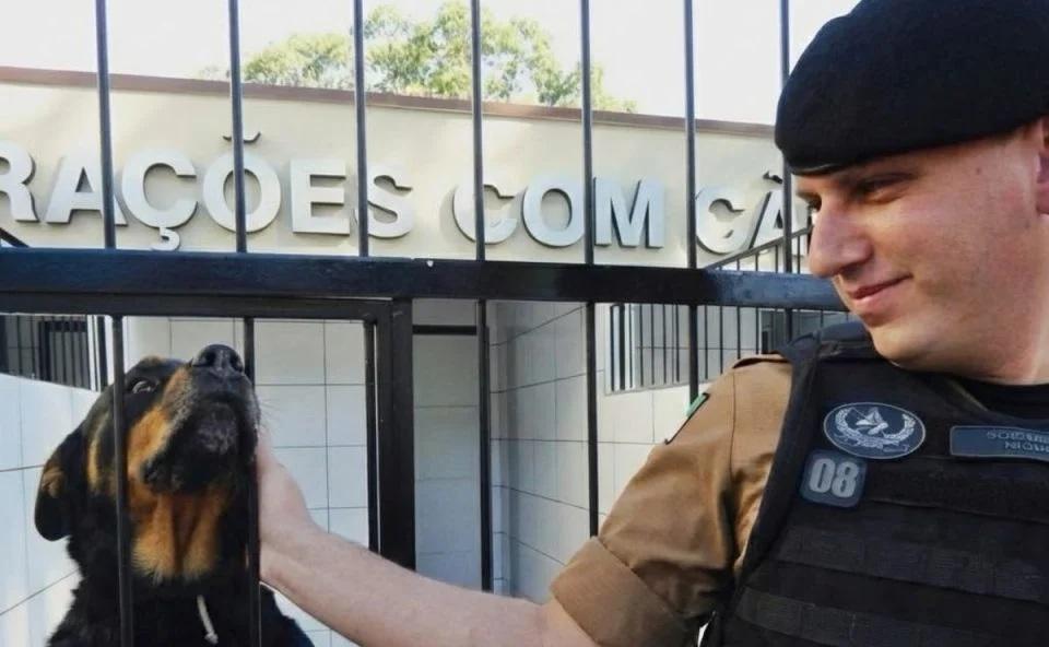 Policial morre após viatura capotar na PR-323; vítima é identificada como o Cabo Niquetti