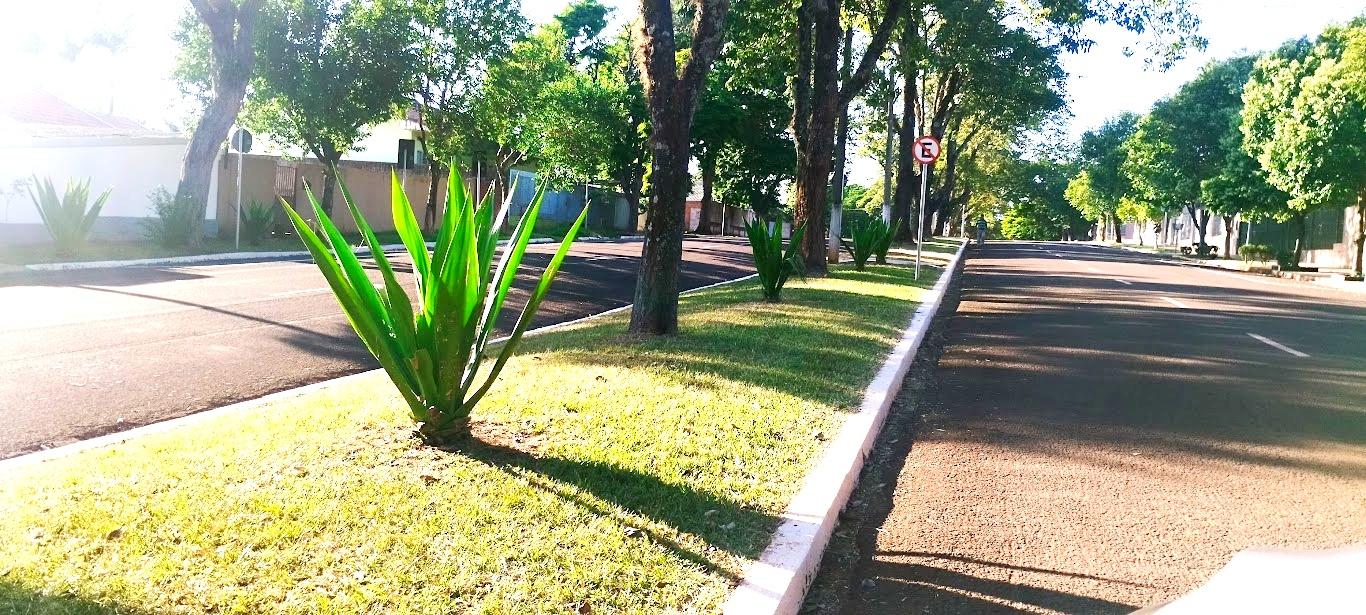 BARBOSA FERRAZ: Prefeitura realiza manutenção em canteiros das avenidas centrais