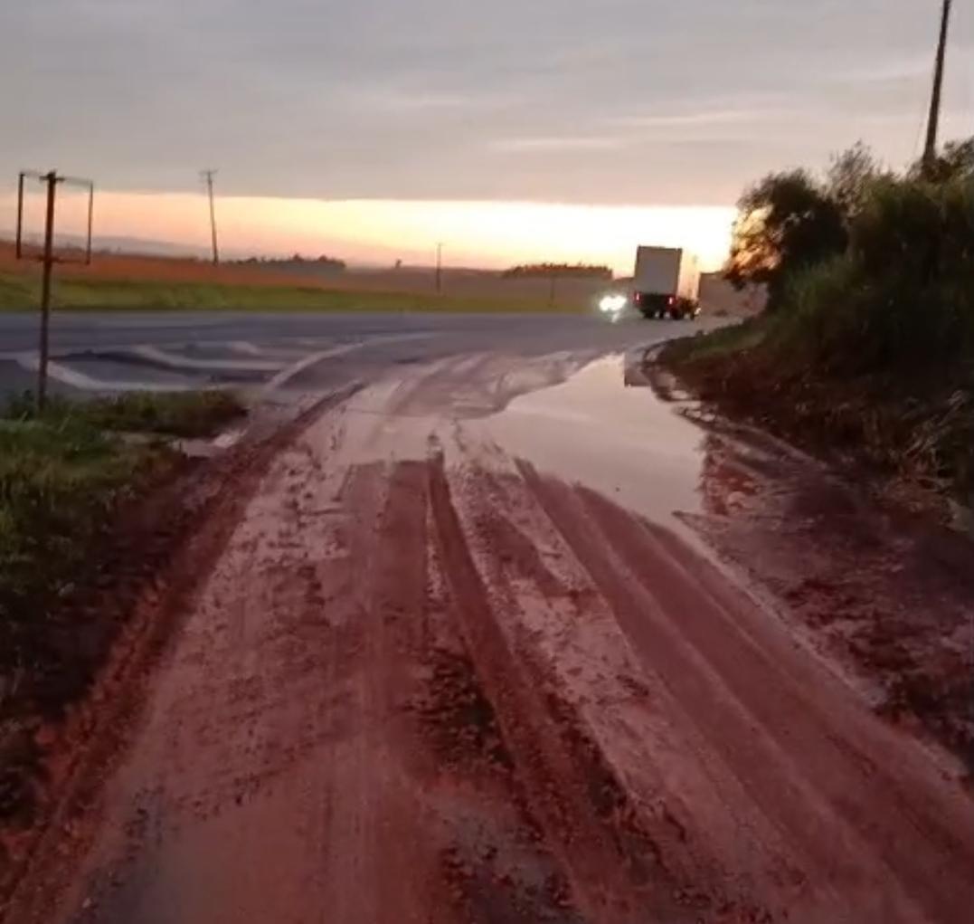 ENGENHEIRO BELTRÃO: 