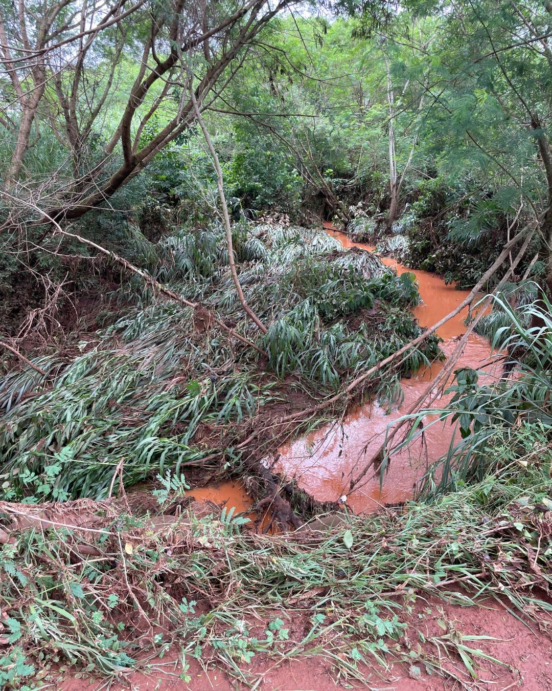Fortes chuvas em Quinta do Sol