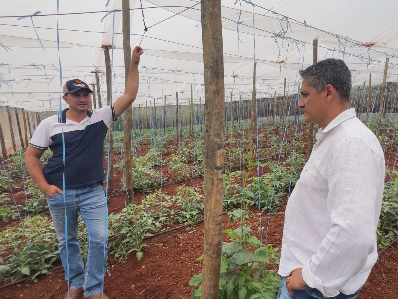 A entrega foi comemorada pela Prefeitura, por meio da Secretaria Municipal de Agricultura e Pecuária, dirigida pelo secretário Eder José de Paula, o Edinho Malaquias.