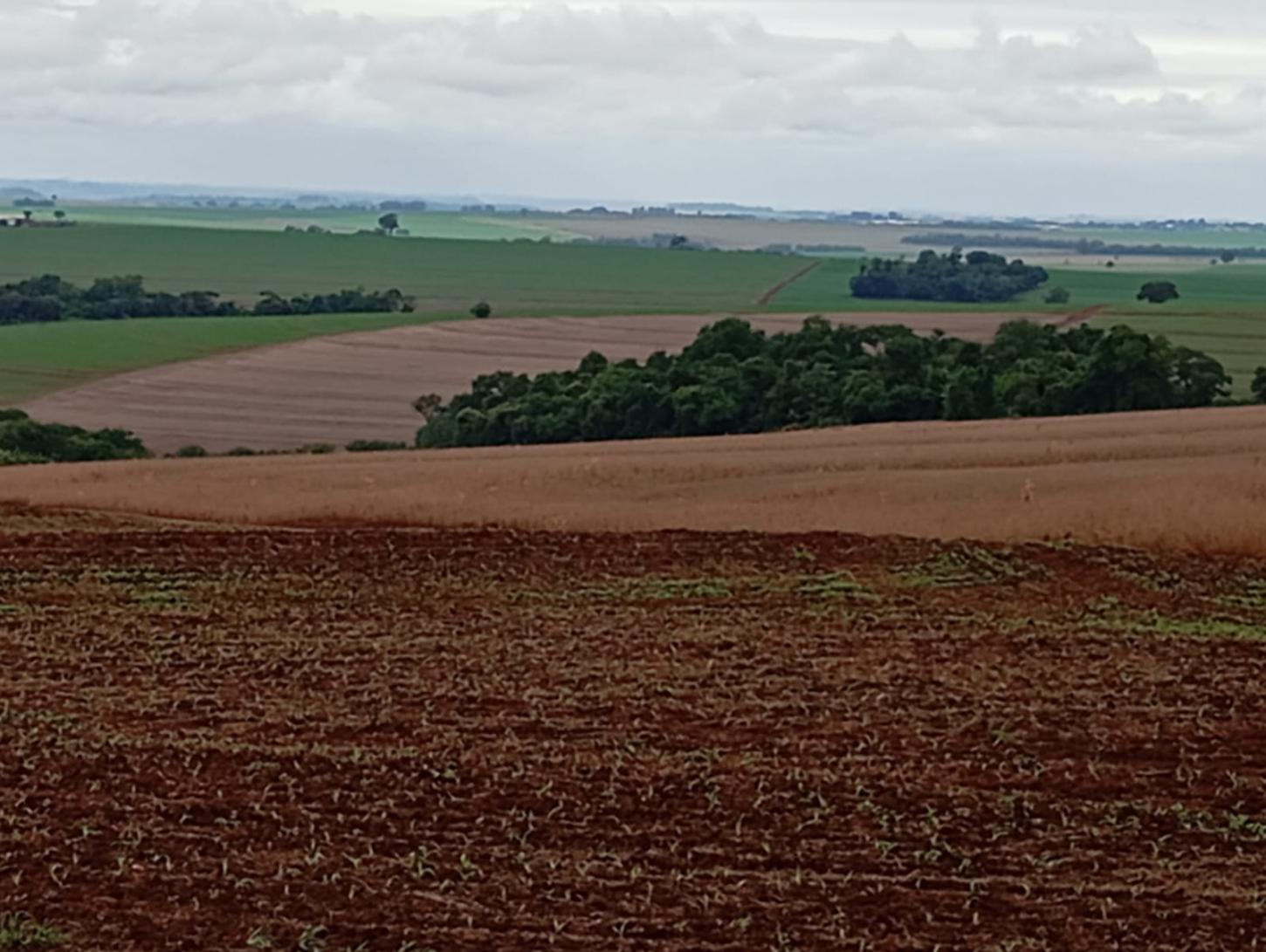 Figueira do Oeste - Estrada das Polacas a comunidade do Saltinho