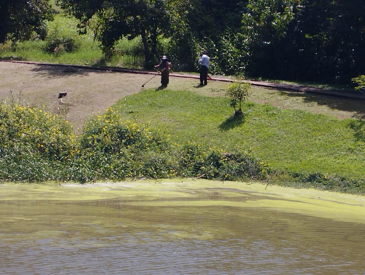 Prefeitura de Engenheiro Beltrão intensifica manutenção no Parque da Gruta e reforça cuidado com espaços públicos