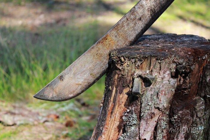 VALE DO IVAÍ: Morador reage com facão a tentativa de assalto e afugenta criminosos em Jandaia do Sul