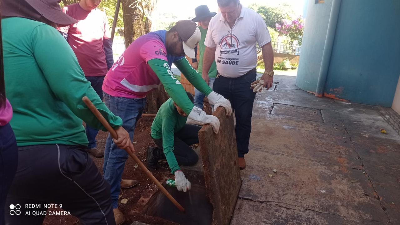 escorpiões amarelos