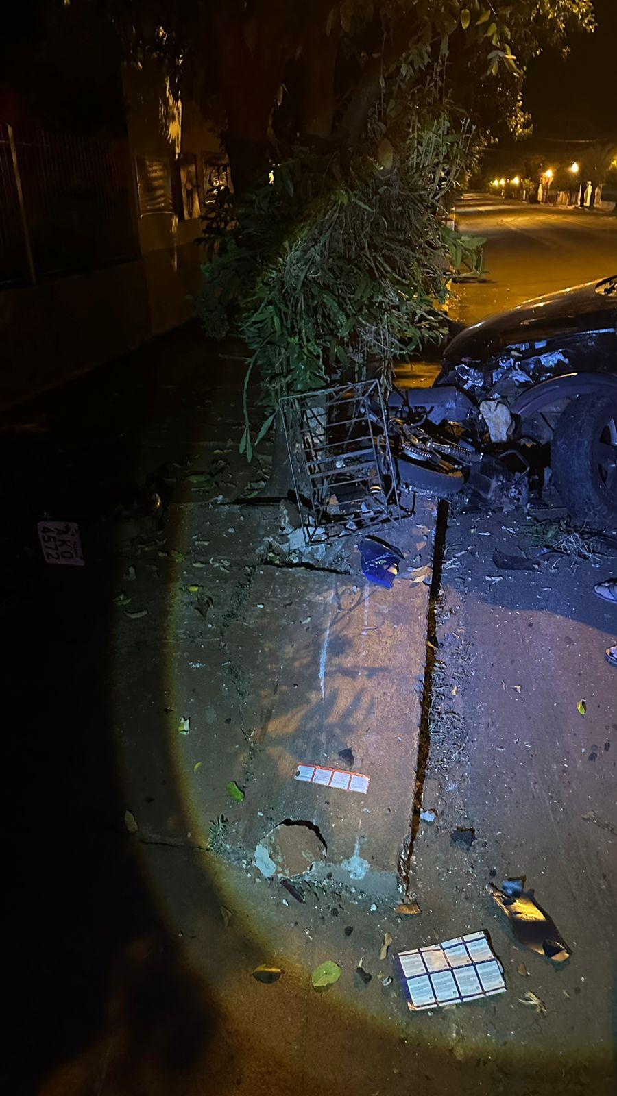 (Crédito das imagens para Carlos Dutra)