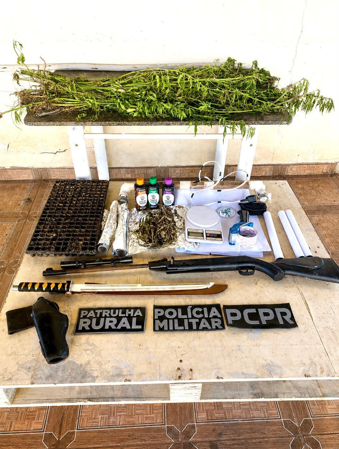 GOIOERÊ: Patrulha Rural e Polícia Civil apreendem plantação de maconha, arma e prendem suspeito