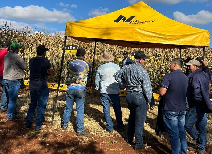 BARBOSA FERRAZ: Município realiza 7º Dia de Campo de Milho Silagem nesta quarta-feira (17)