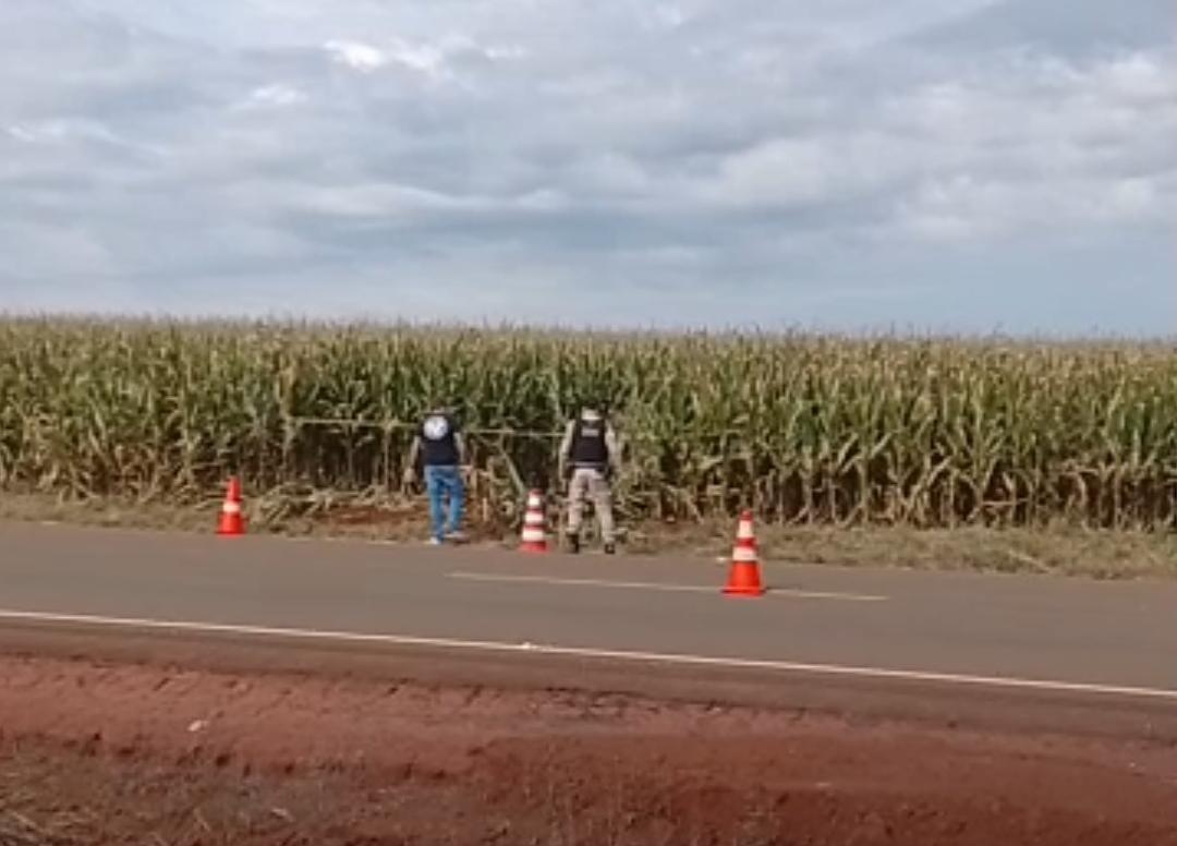 ENTRE PEABIRU E ARARUNA: Homem é encontrado morto às margens da PR-465