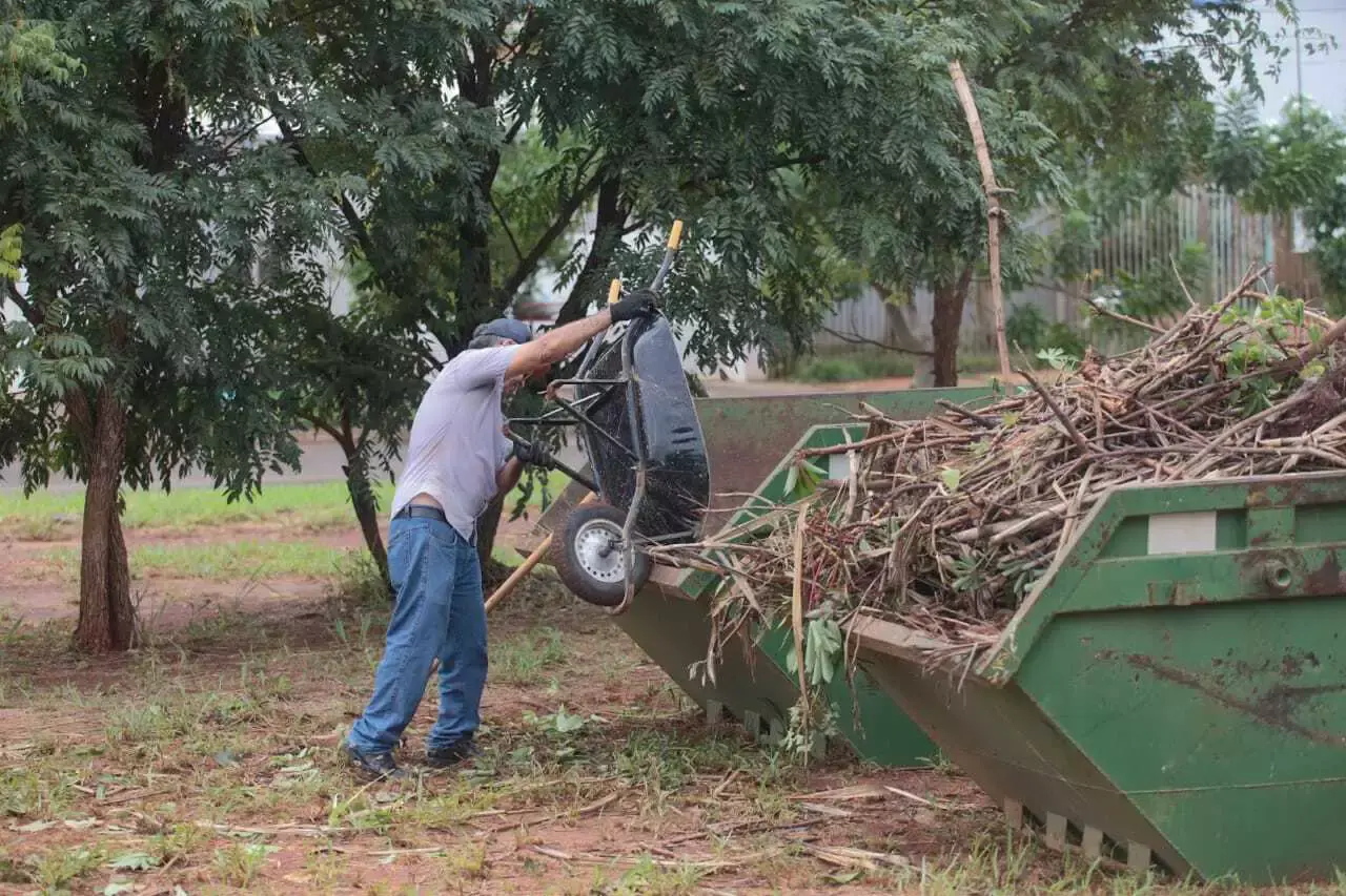 QUINTA DO SOL: Decreto suspende corte e poda de árvores por 30 dias