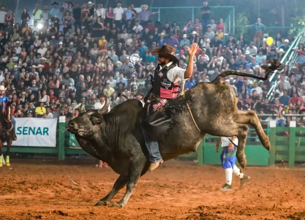 BARBOSA FERRAZ: Festa de 66 anos terá rodeio, shows e Porco Garantido na Amiagro