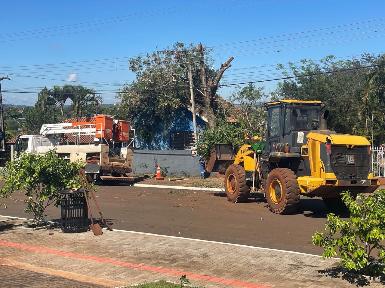 FÊNIX: Prefeitura realiza poda e retirada de árvores que ofereciam riscos à população