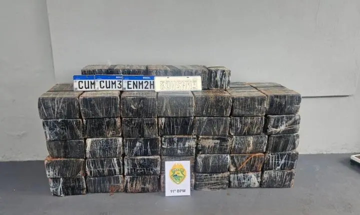 ARARUNA: Polícia Militar apreende cerca de meia tonelada de maconha na zona rural e prende suspeito