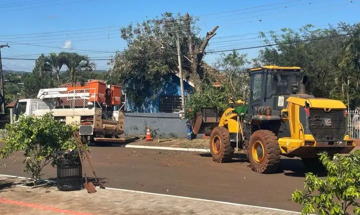 FÊNIX: Prefeitura realiza poda e retirada de árvores que ofereciam riscos à população