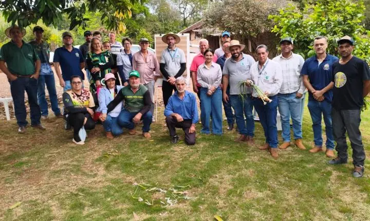 FÊNIX: produtores participam de Tarde de Campo sobre cultivo de alho e novas oportunidades de renda