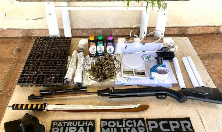GOIOERÊ: Patrulha Rural e Polícia Civil apreendem plantação de maconha, arma e prendem suspeito
