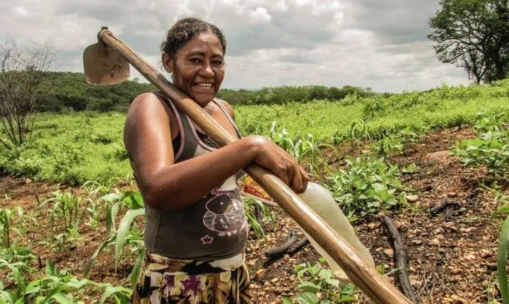 Prefeitura de Fênix promove 4º Encontro em comemoração ao Dia Internacional da Mulher Rural nesta quinta-feira (15)